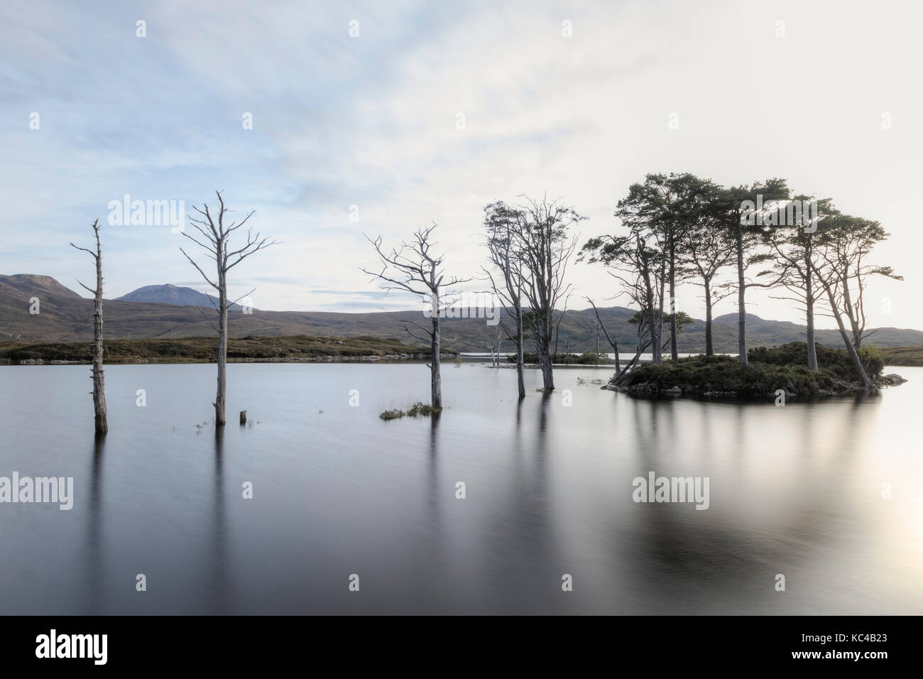 trees submerged at Loch Assynt, Sutherland, Scotland, United Kingdom Stock Photo