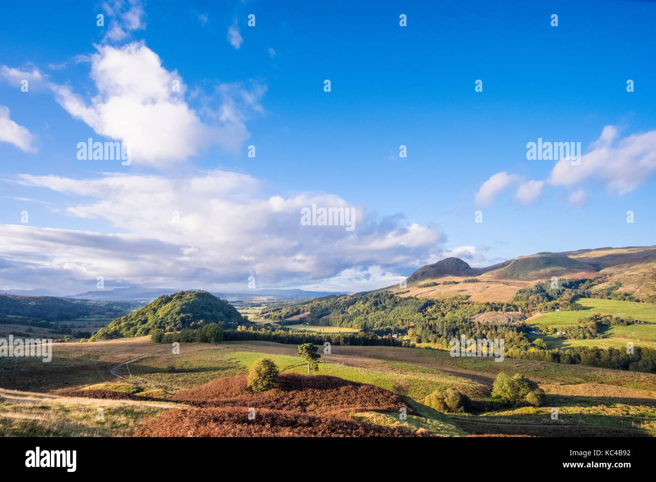 Dumgoyne Hill Campsie Hills Strathblane nr Glasgow Scotland Stock Photo ...