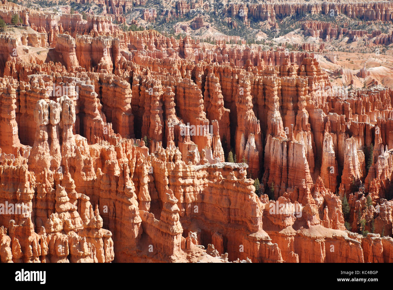 Hoodoos at Bryce Canyon, Utah, USA Stock Photo