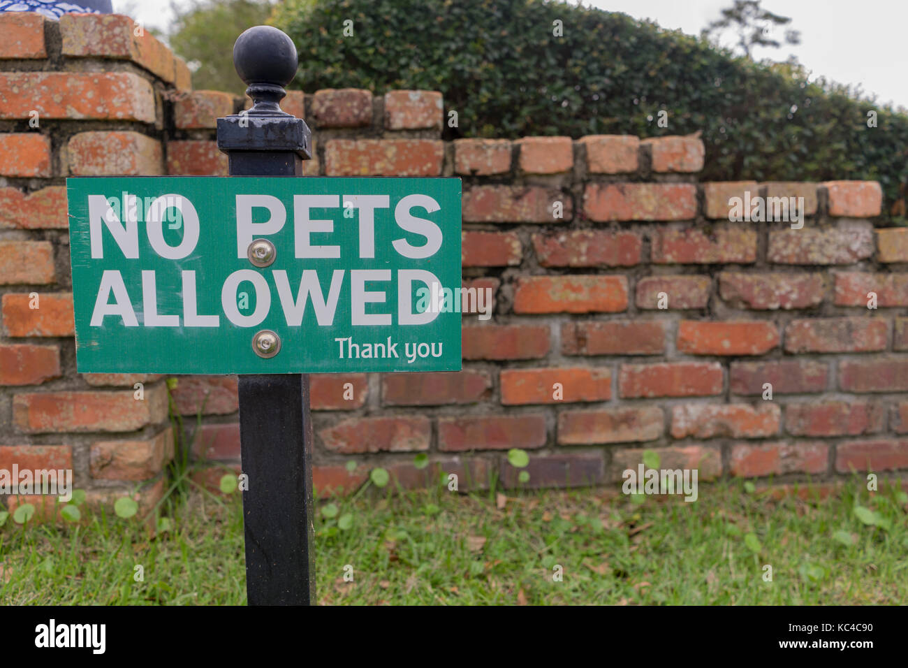 Green No Pets Allowed Sign At A Park Stock Photo Alamy
