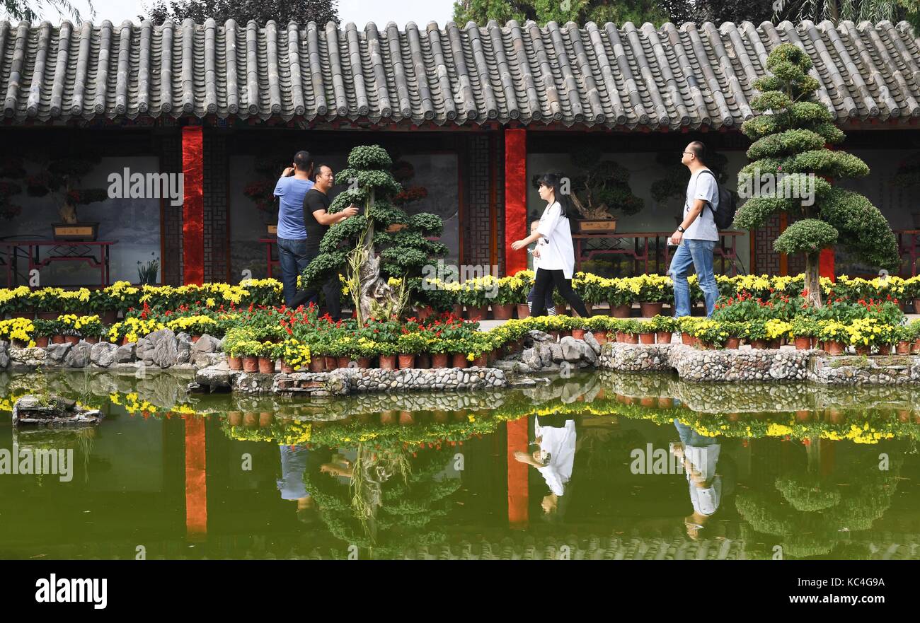 Zhengzhou, China's Henan Province. 2nd Oct, 2017. Visitors view chrysanthemums in Kaifeng, central China's Henan Province, Oct. 2, 2017. Over two million pots of chrysanthemum in the city have bloomed recently. Credit: Zhu Xiang/Xinhua/Alamy Live News Stock Photo