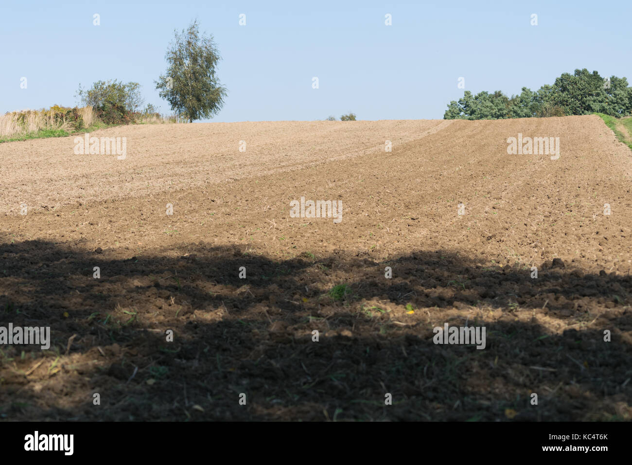 Grain Drill High Resolution Stock Photography and Images - Alamy