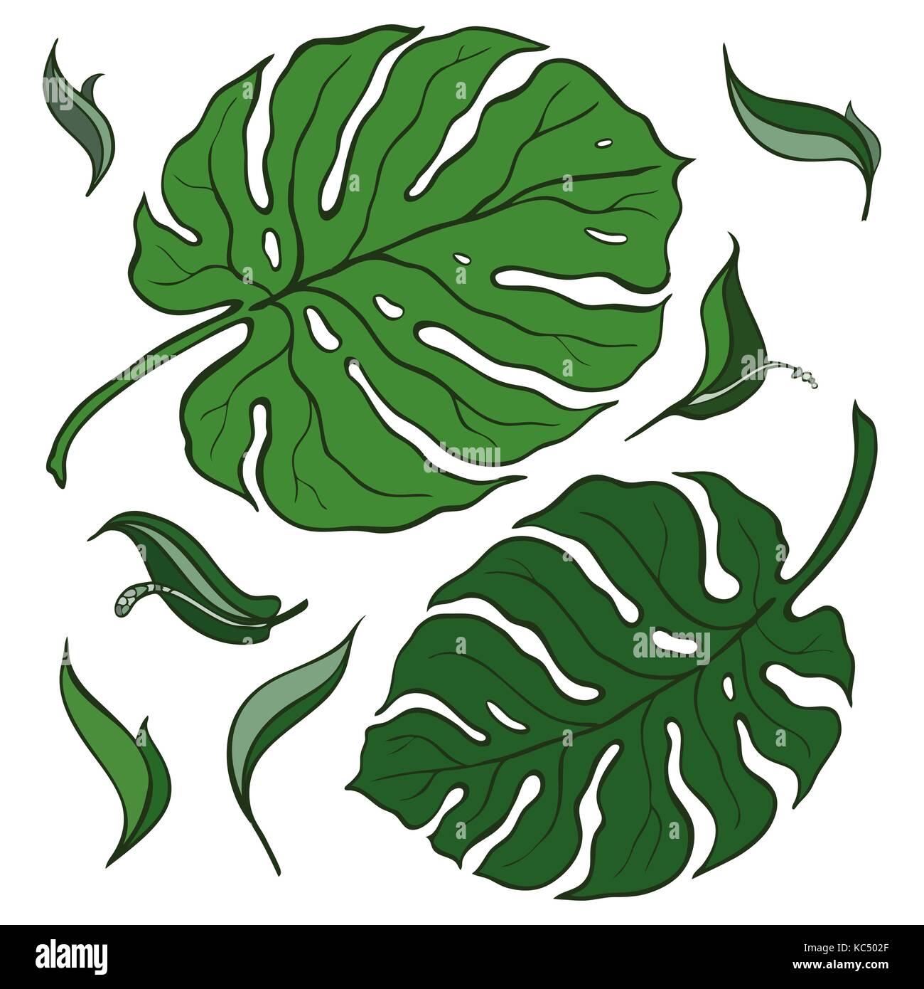 Tropical Set, palm leaves Stock Vector Image & Art - Alamy