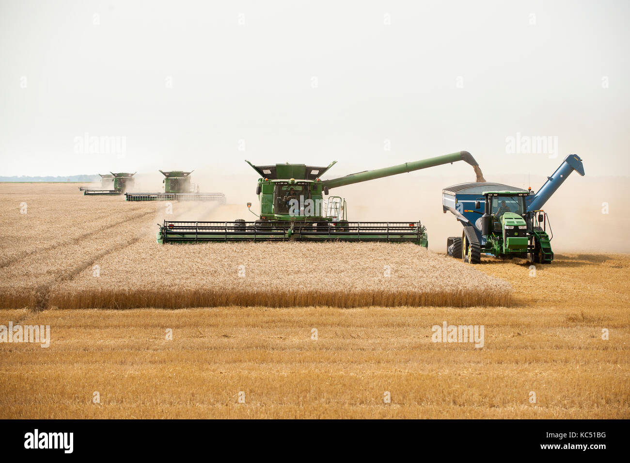 JOHN DEERE COMBINE HARVESTING WHEAT ON A FARM IN BRECKENRIDGE, NORTH