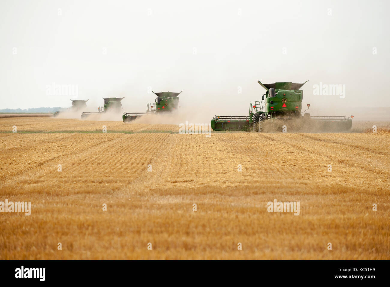 JOHN DEERE COMBINE HARVESTING WHEAT ON A FARM IN BRECKENRIDGE, NORTH