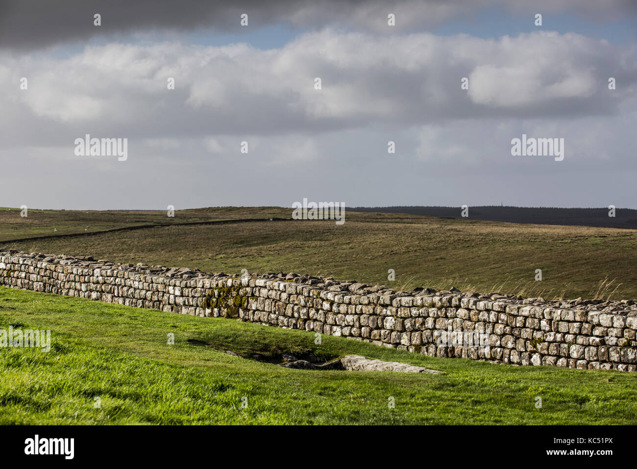 Hadrians Wall , Northumberland , UK Stock Photo