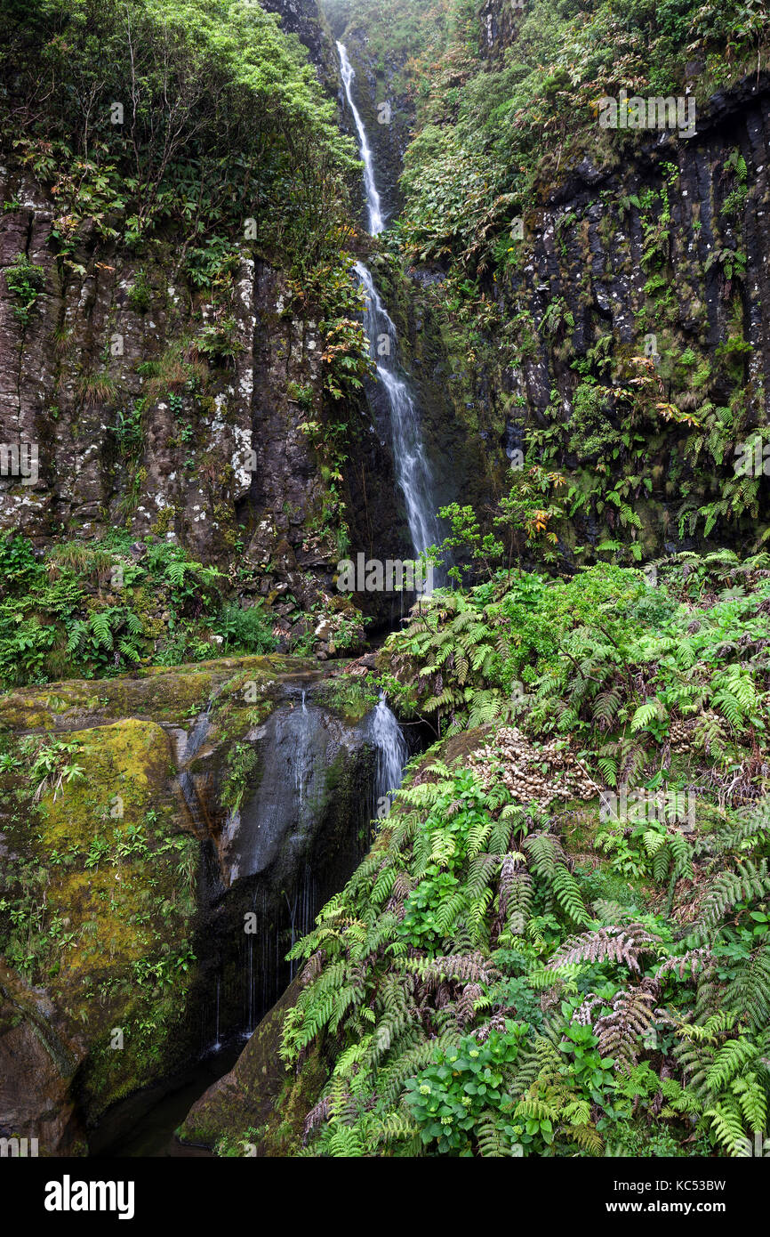 Waterfall with typical fern vegetation (Tracheophyta), near Lajedo, Flores Island, Azores, Portugal Stock Photo