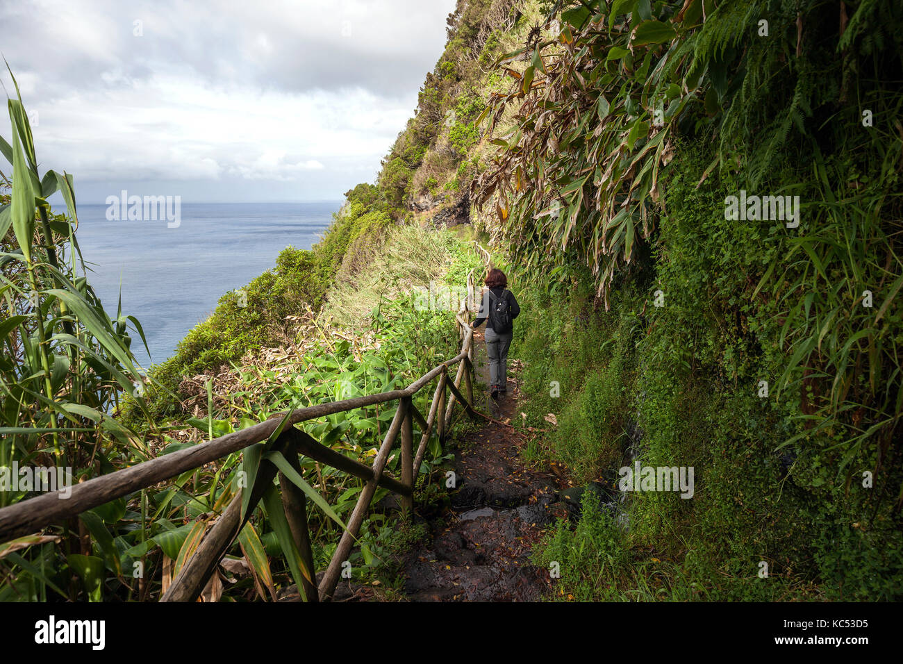 Hiker on a hiking trail on the south coast near Faja de Lopo Vaz, island of Flores, Azores, Portugal Stock Photo