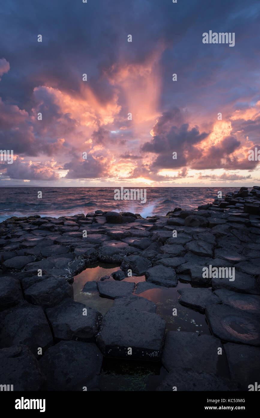Basalt columns by the coast at sunset, Giant's Causeway, County Antrim