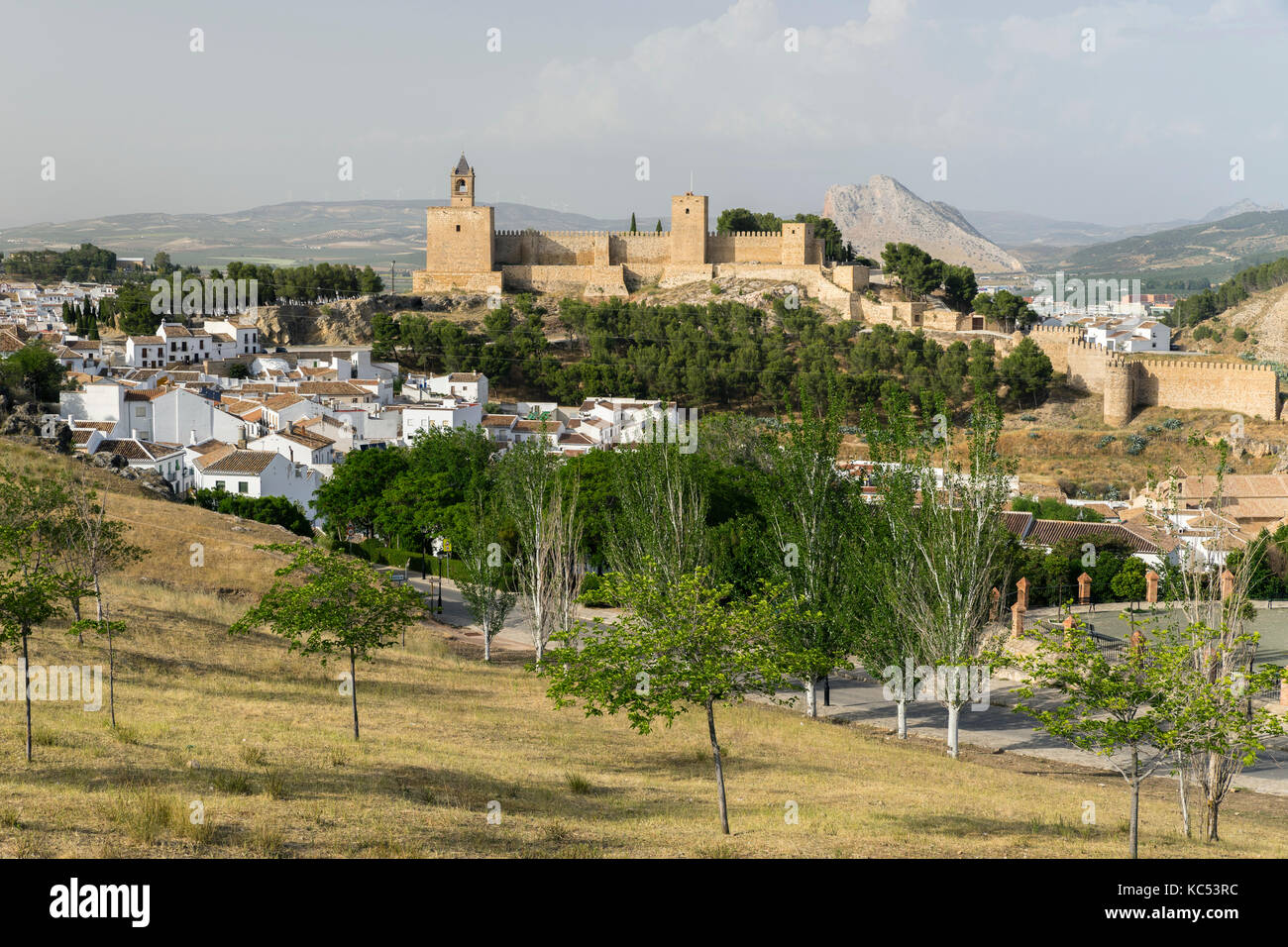 Old town with fortress Alcazaba, Antequera, province of Malaga, Andalusia, Spain Stock Photo