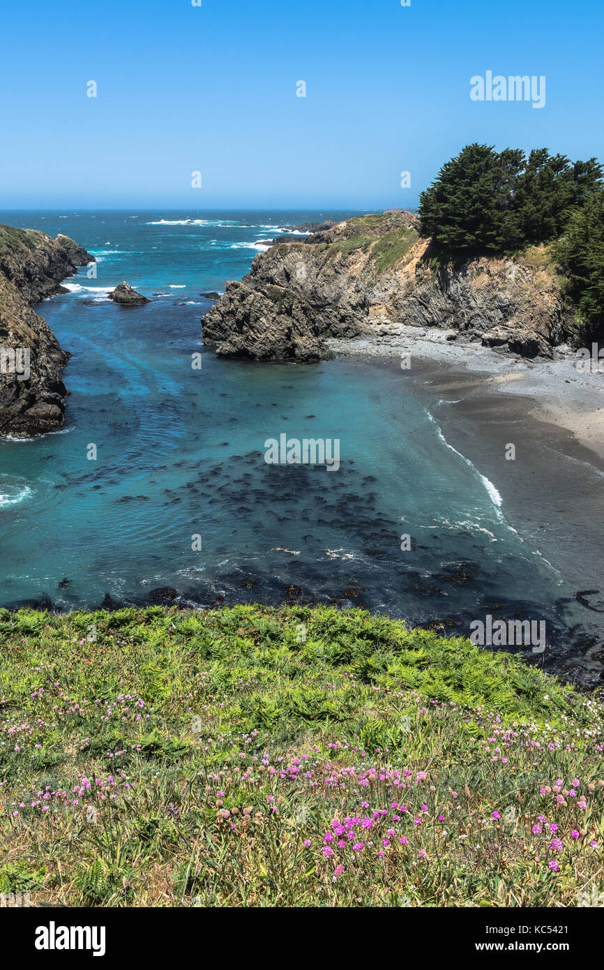 Natural cove along Mendocino coast, California Stock Photo - Alamy