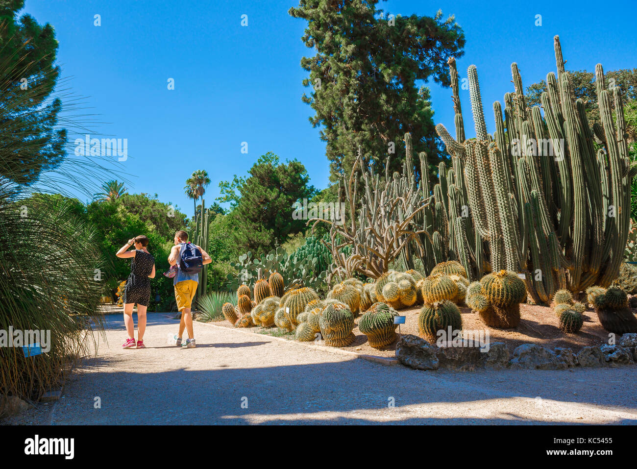 Valencia Spain botanical garden, rear view of a young couple visiting the desert plants area of the Jardin Botanico in Valencia, Spain Stock Photo