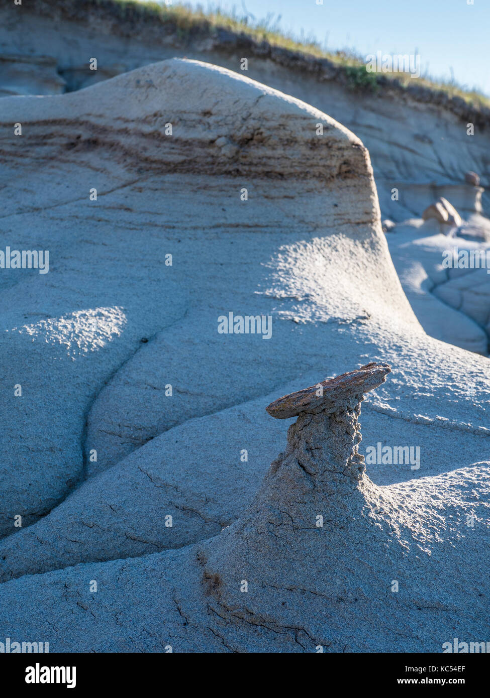 Inches-high mini-hoodoo, Dinosaur Provincial Park, Alberta, Canada. Stock Photo