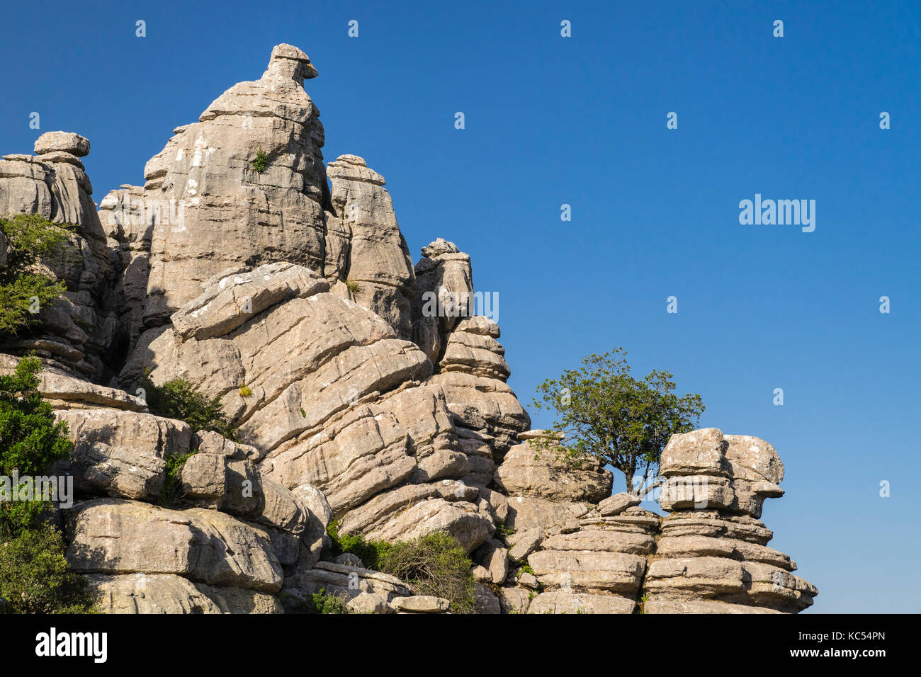 Bizarre limestone rock formations, El Torcal Nature Reserve, Antequera, Province of Malaga, Andalusia, Spain Stock Photo