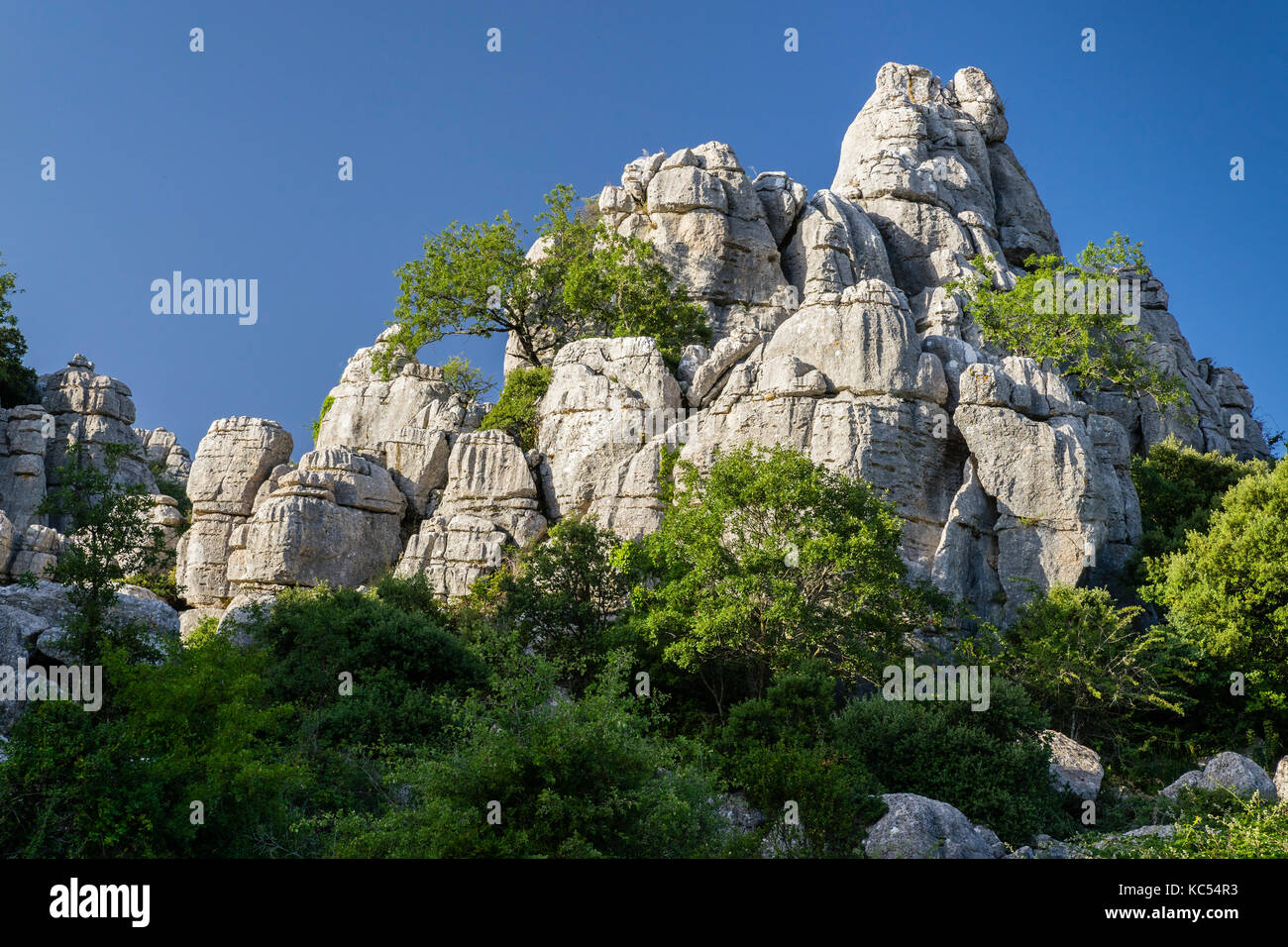 Bizarre limestone rock formations, El Torcal Nature Reserve, Antequera, Province of Malaga, Andalusia, Spain Stock Photo