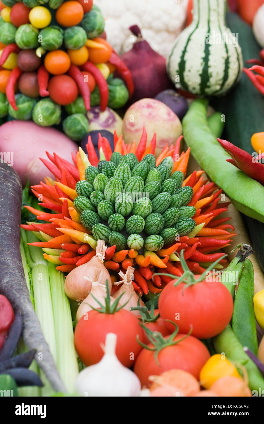 Arrangement of vegetables at Malvern Autumn flower show. Stock Photo
