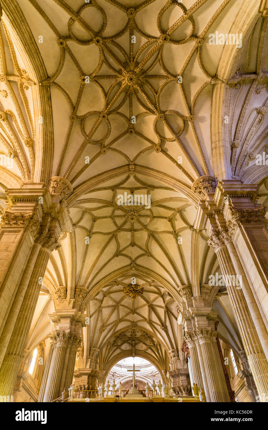 Isabellic ribbed vault, nave, Cathedral Catedral de la Encarnación de Guadix, Guadix, Marquesado Region, Province of Granada Stock Photo