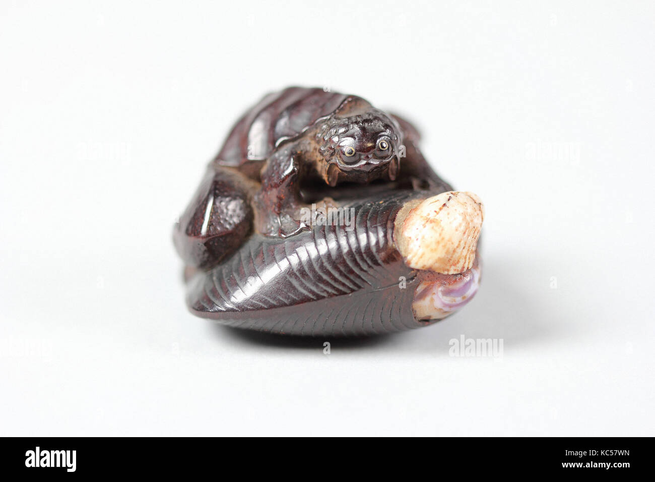 Netsuke of Frog-like Tortoise on a Shell, 18th century Stock Photo