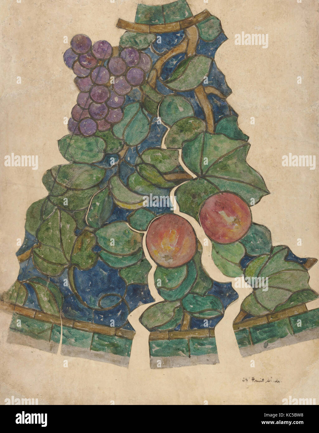 Working drawing for 'Fruit' shade, Possibly Tiffany Glass and Decorating Company, 1900–1915 Stock Photo