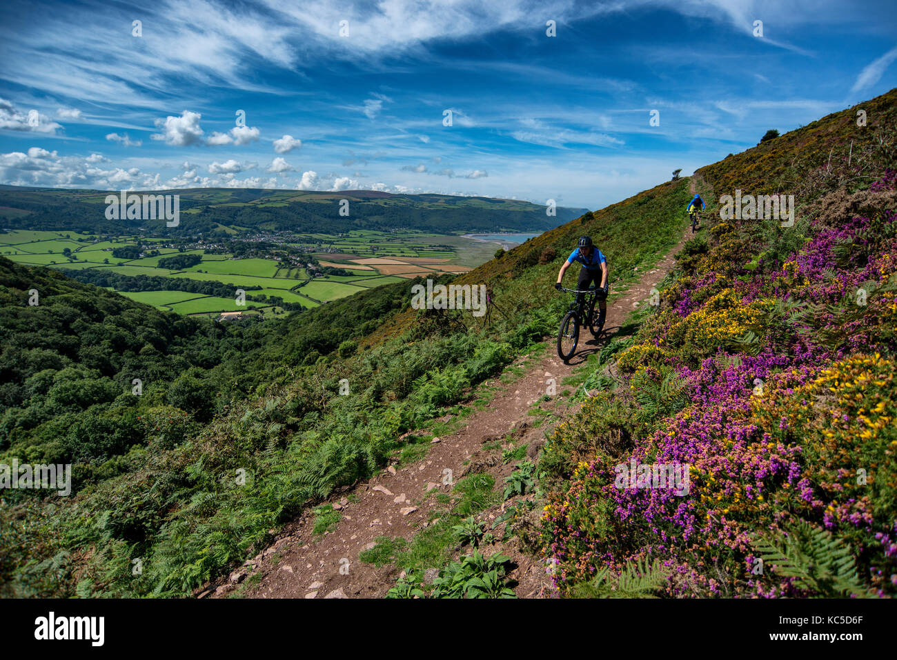 Two mountain bikers ride a trail on Bossington Hill overlooking Porlock