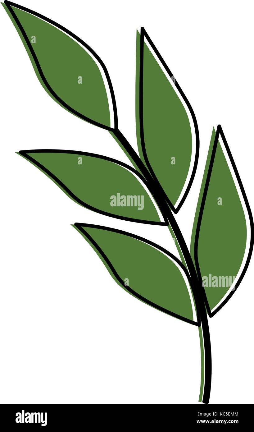 Olive branch emblem icon image Stock Vector Images - Alamy