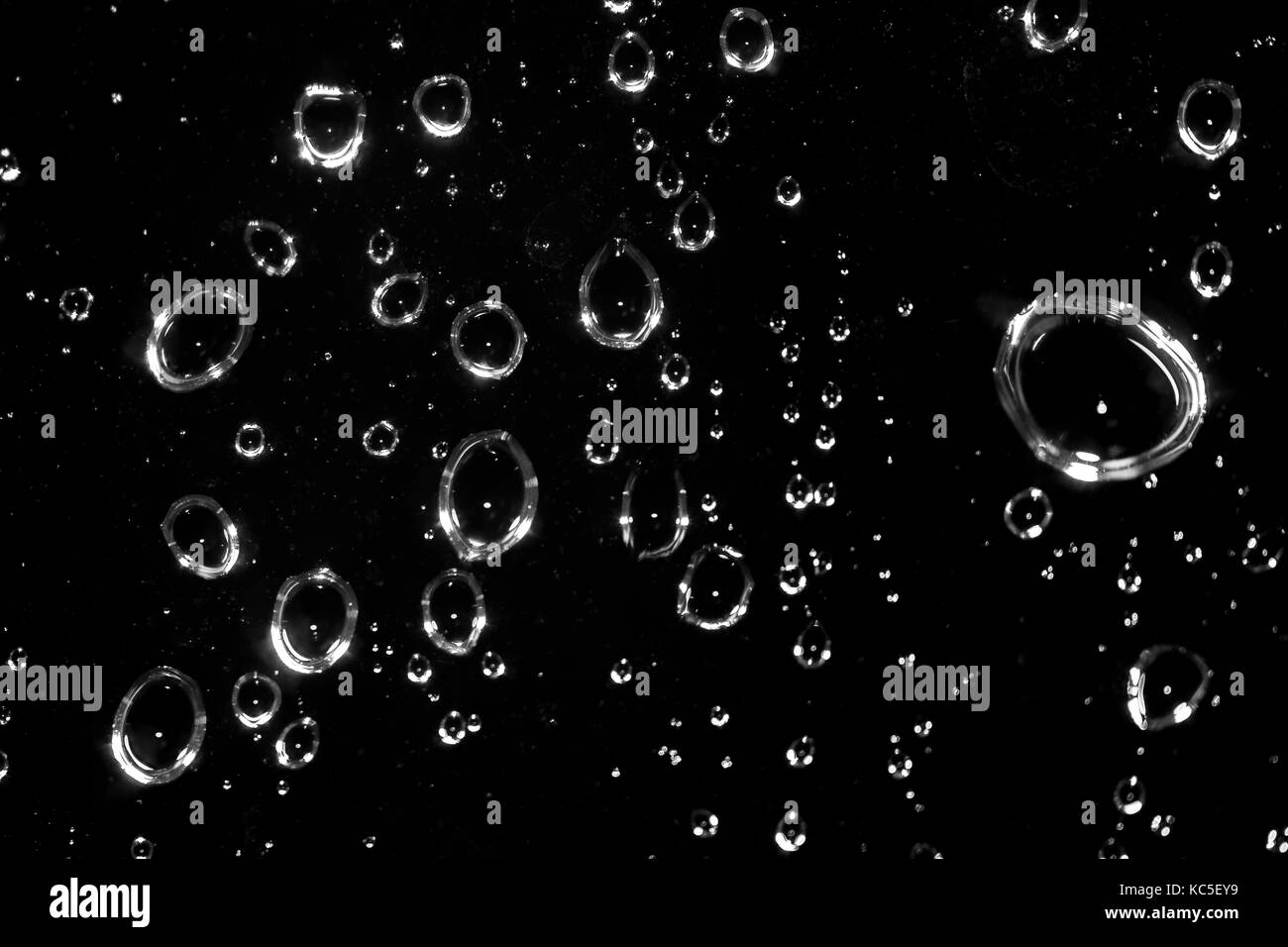 Raindrops Stock Photo