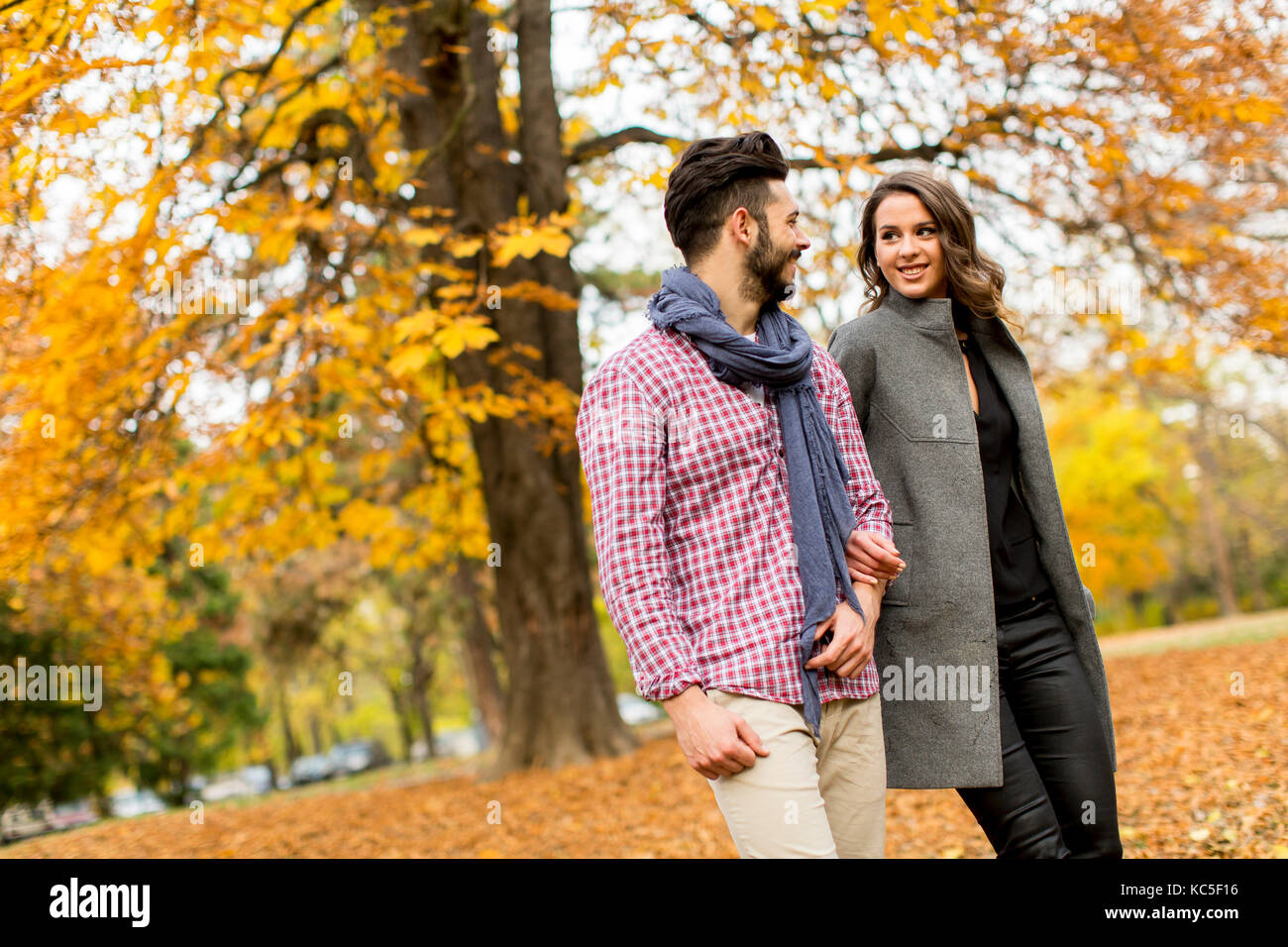 Young couple in love in the autumn forest Stock Photo - Alamy