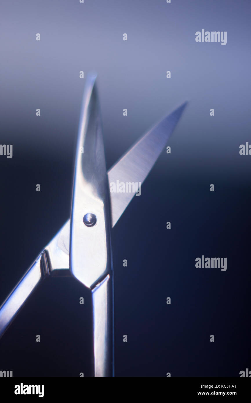 Manicurel nail scissors to cut nails on hands and toenails in beauty treatment and personal care