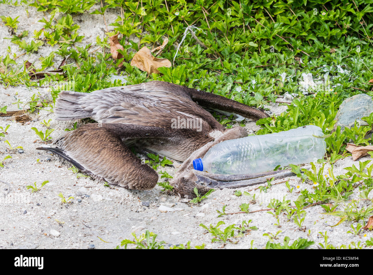 Great salt pond hires stock photography and images Alamy