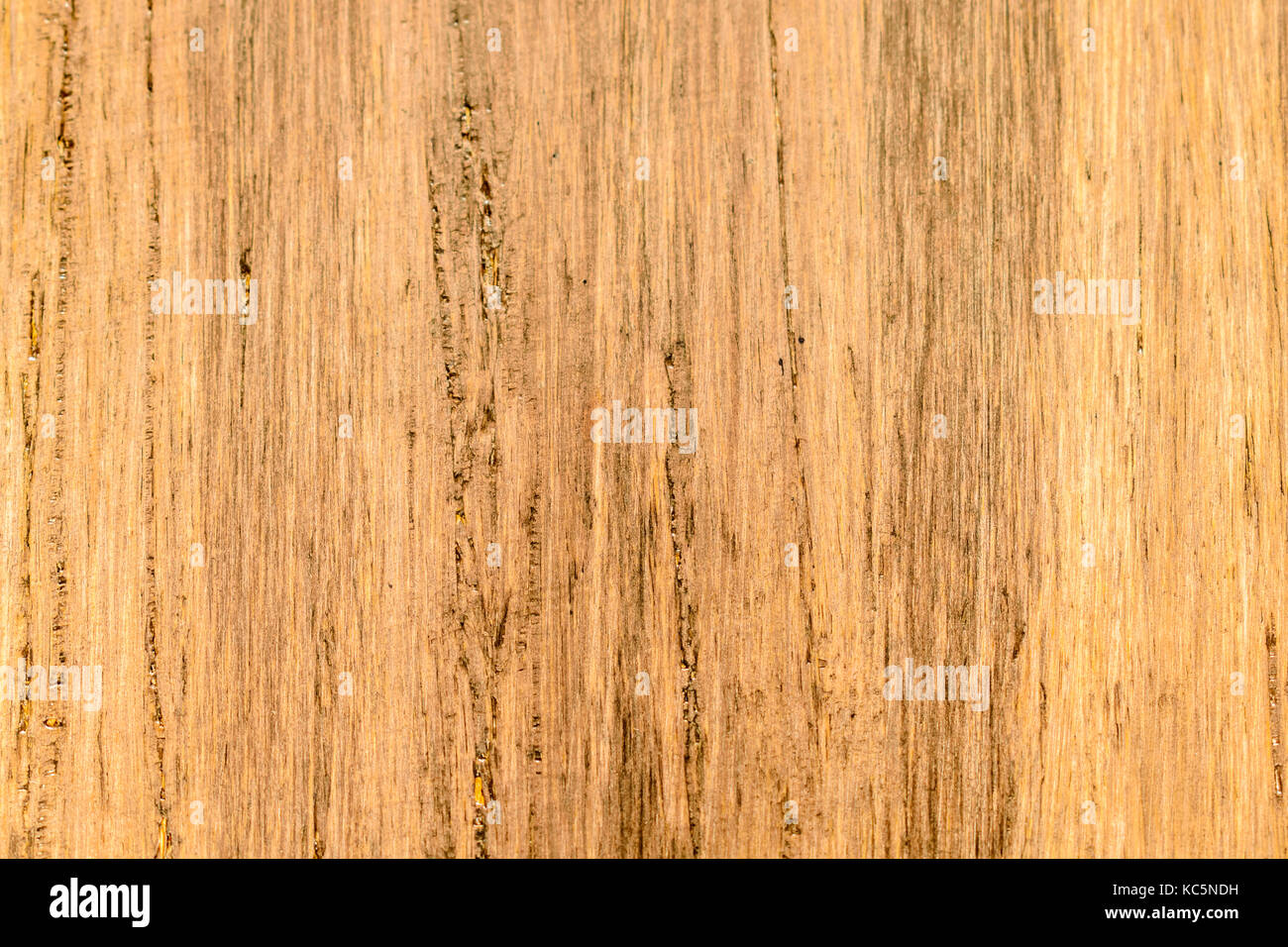 Hardwood Fossilized Bamboo Background Stock Photo