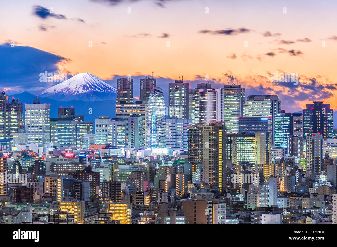 Tokyo, Japan Shinjuku cityscape with Mt. Fuji in the distance. Stock Photo