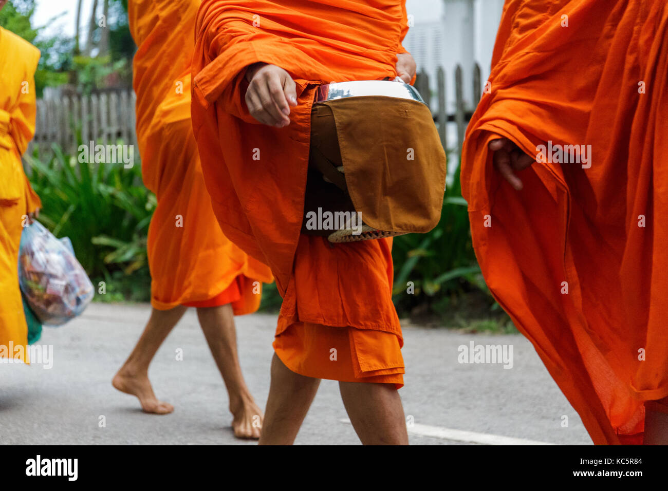 Buddhist monks collect alms in Luang Prabang, Laos Stock Photo