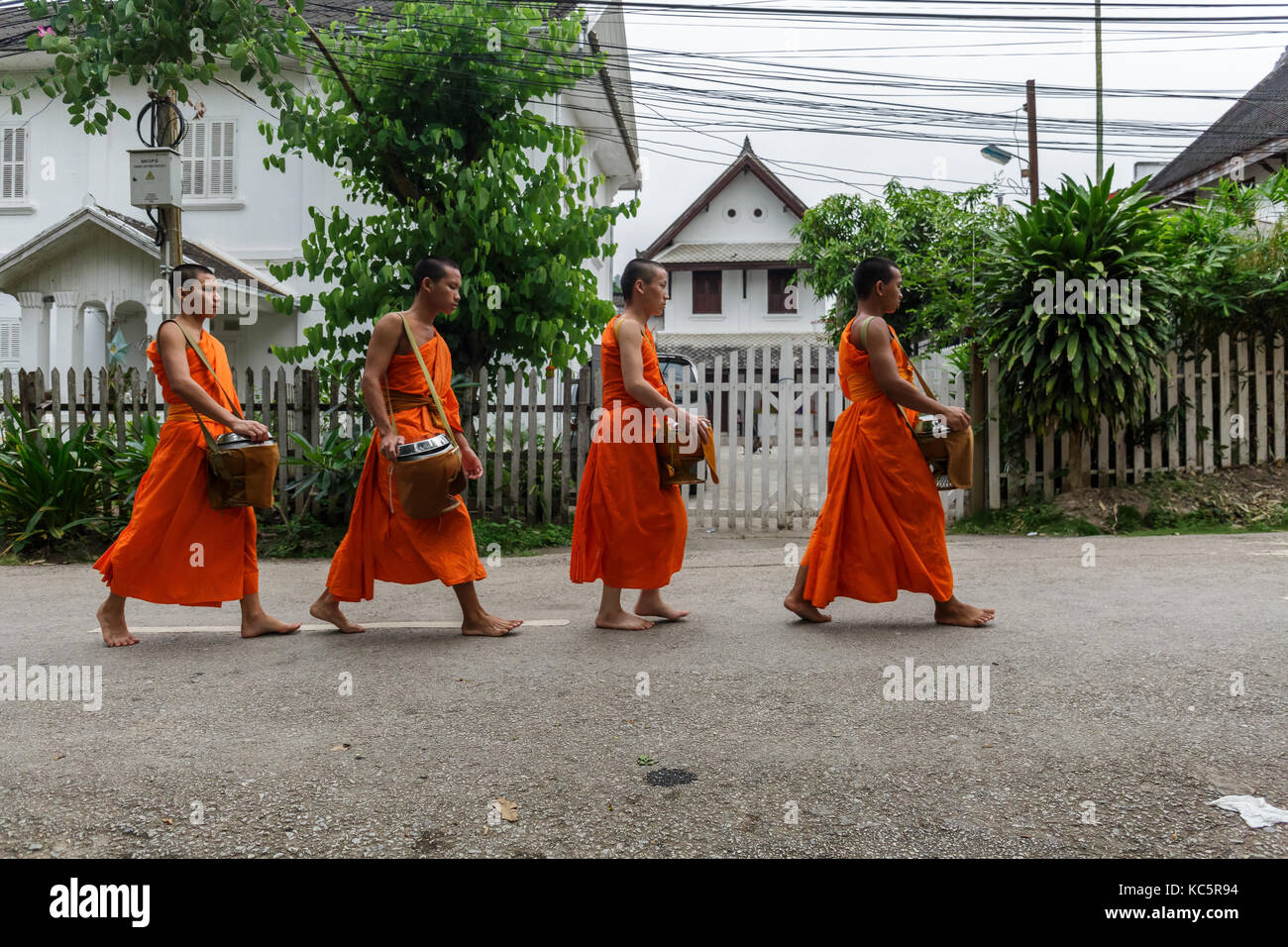 LUANG PRABANG, LAOS - 9/24/2017: Four Buddhist monks collect alms in Luang Prabang, Laos Stock Photo