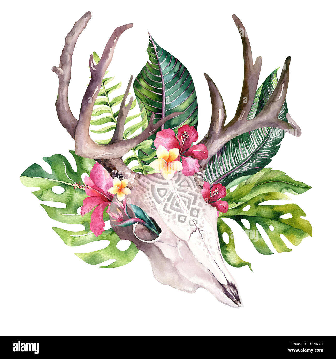 Watercolor bohemian cow skull and tropic palm leaves. Western deer ...
