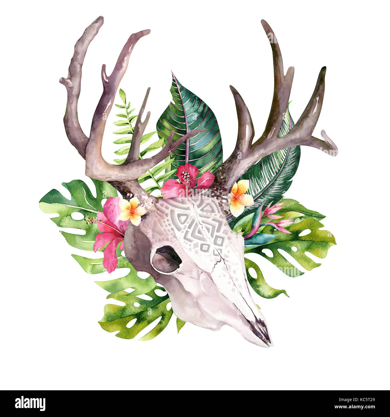 Watercolor bohemian cow skull and tropic palm leaves. Western deer ...