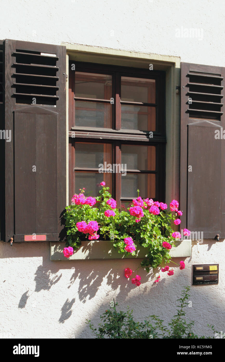 Window with sun blind and flowers. Heidelberg, Germany Stock Photo