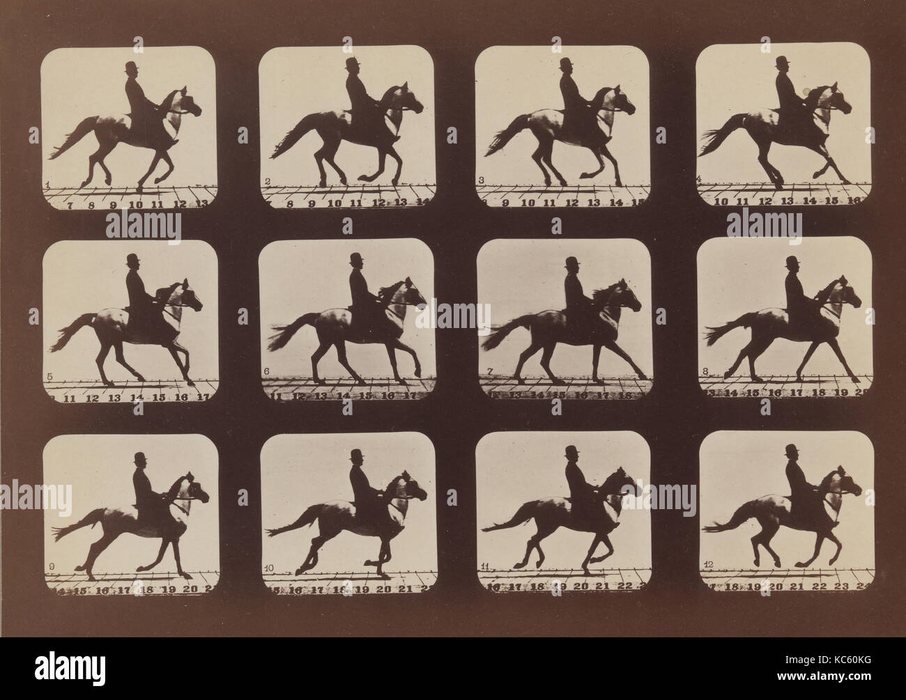 Attitudes of Animals in Motion, Eadweard Muybridge, 1879, printed 1881 Stock Photo
