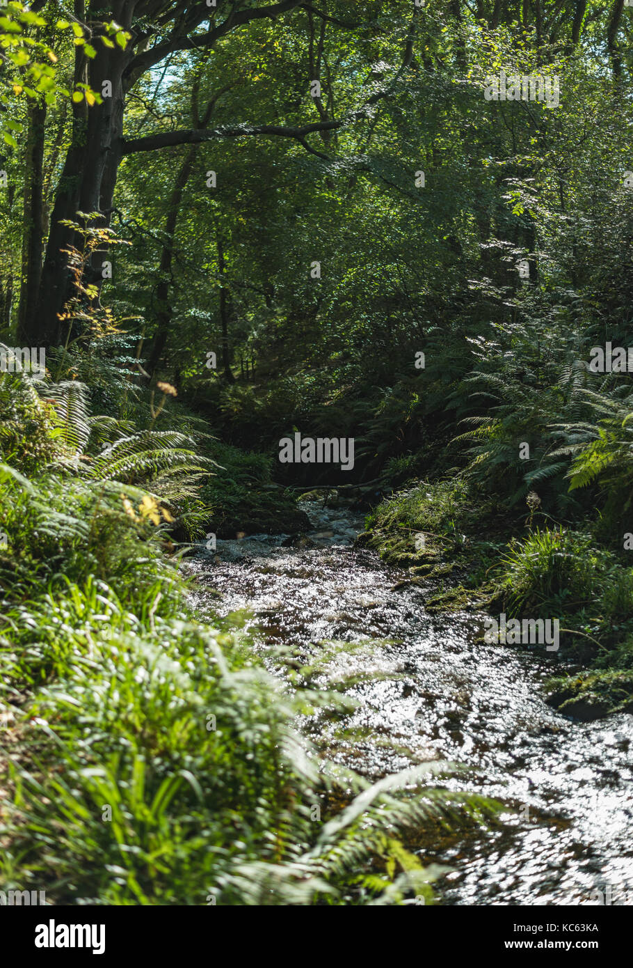 Colby Glen river Stock Photo - Alamy