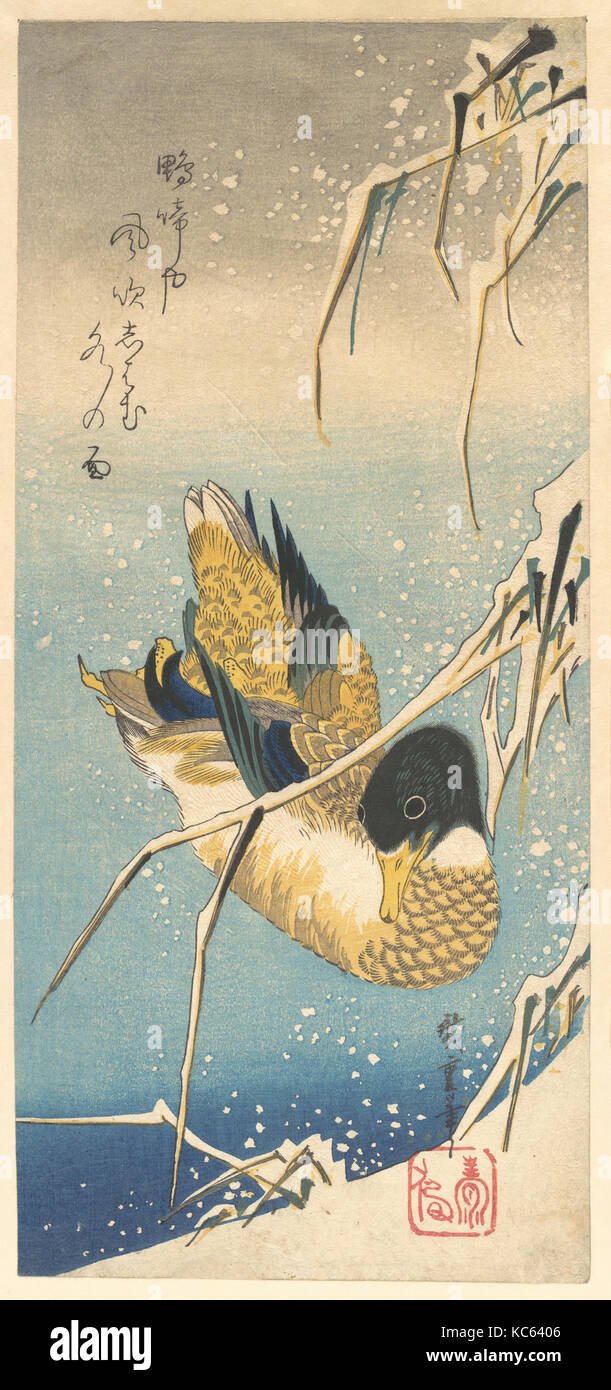 歌川広重画　雪中芦に鴨, Mallard Duck and Snow-covered Reeds, Utagawa Hiroshige, ca. 1832 Stock Photo
