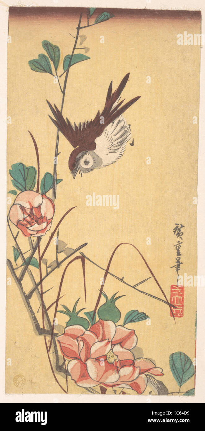 Roses and Sparrow, Edo period (1615–1868), ca. 1833, Japan, Polychrome woodblock print; ink and color on paper, 10 x 4 7/8 in Stock Photo