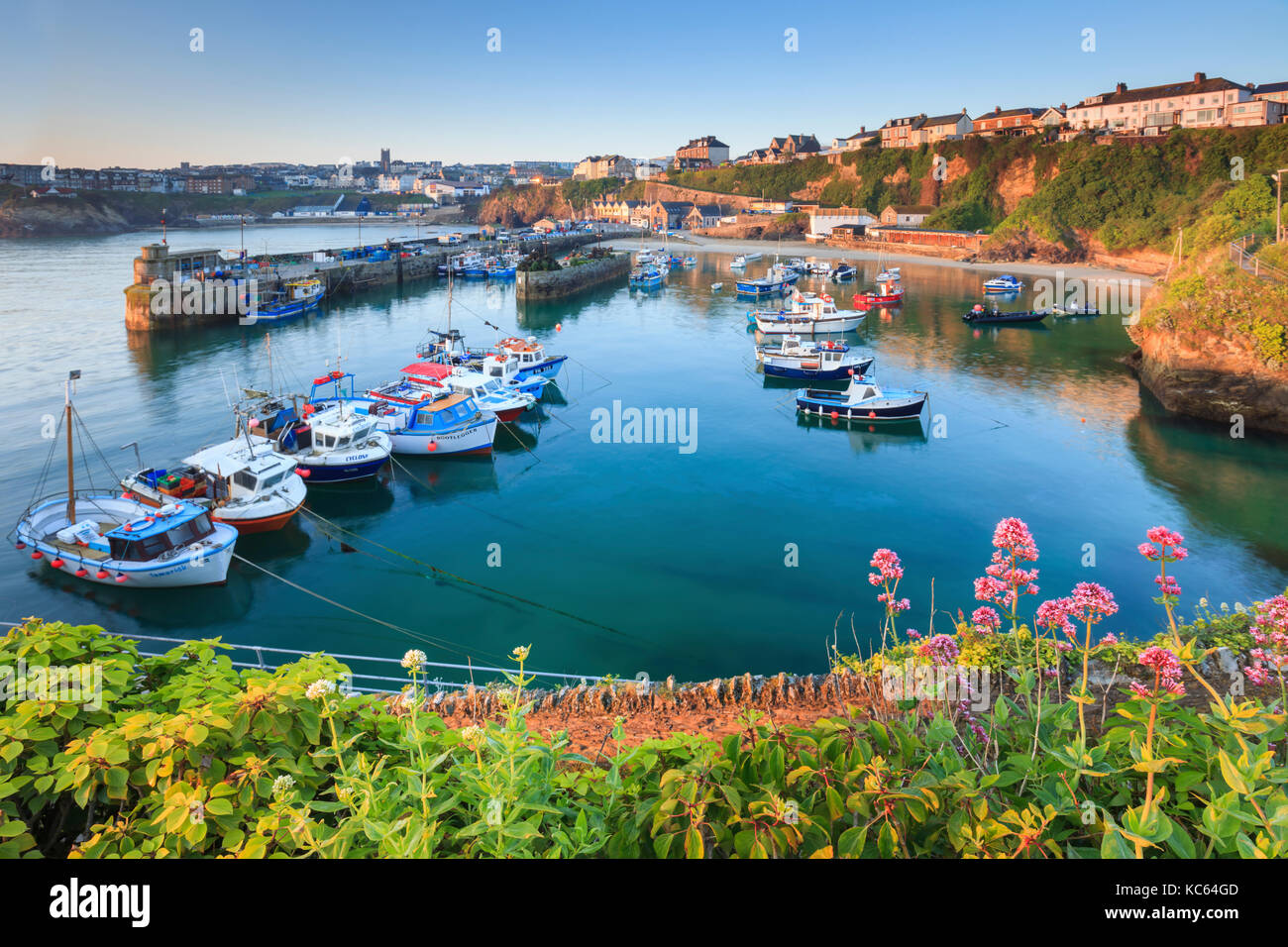 Newquay Harbour captured on a still morning, Stock Photo