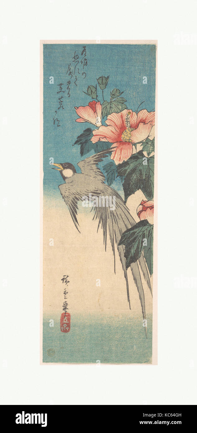 Bunch of Hibiscus Flowers Cross Stitch Pattern Pdf, Plant