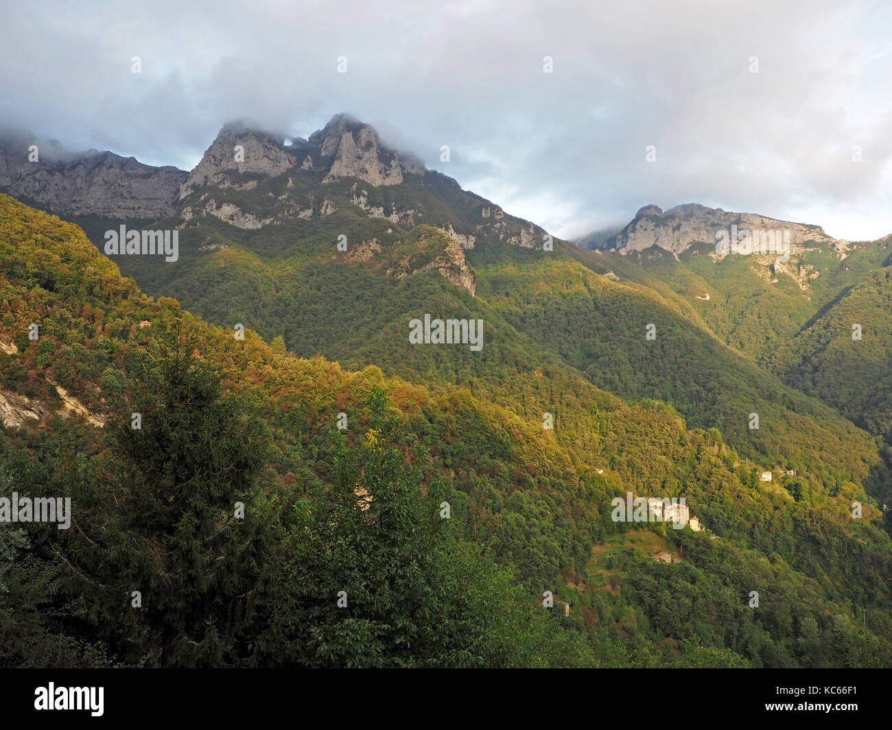 View of wooded slopes beneath Monte Forato in the Apuan Alps in Tuscany, Italy Stock Photo