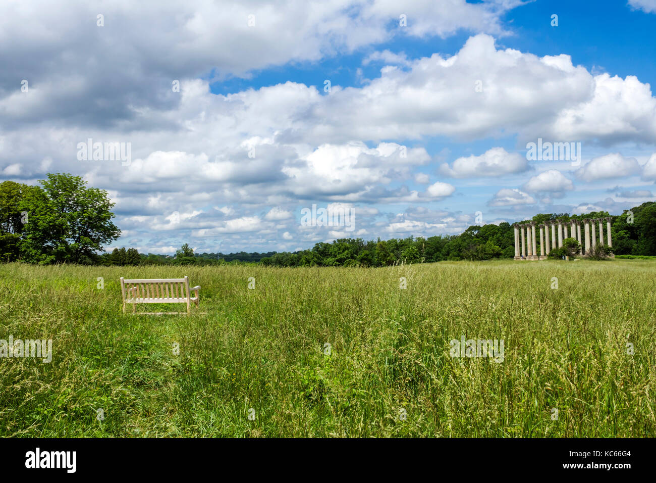 Washington DC,United States National Arboretum,botanical garden,Ellipse Meadow,National Capitol Columns,Corinthian,bench,DC170525092 Stock Photo