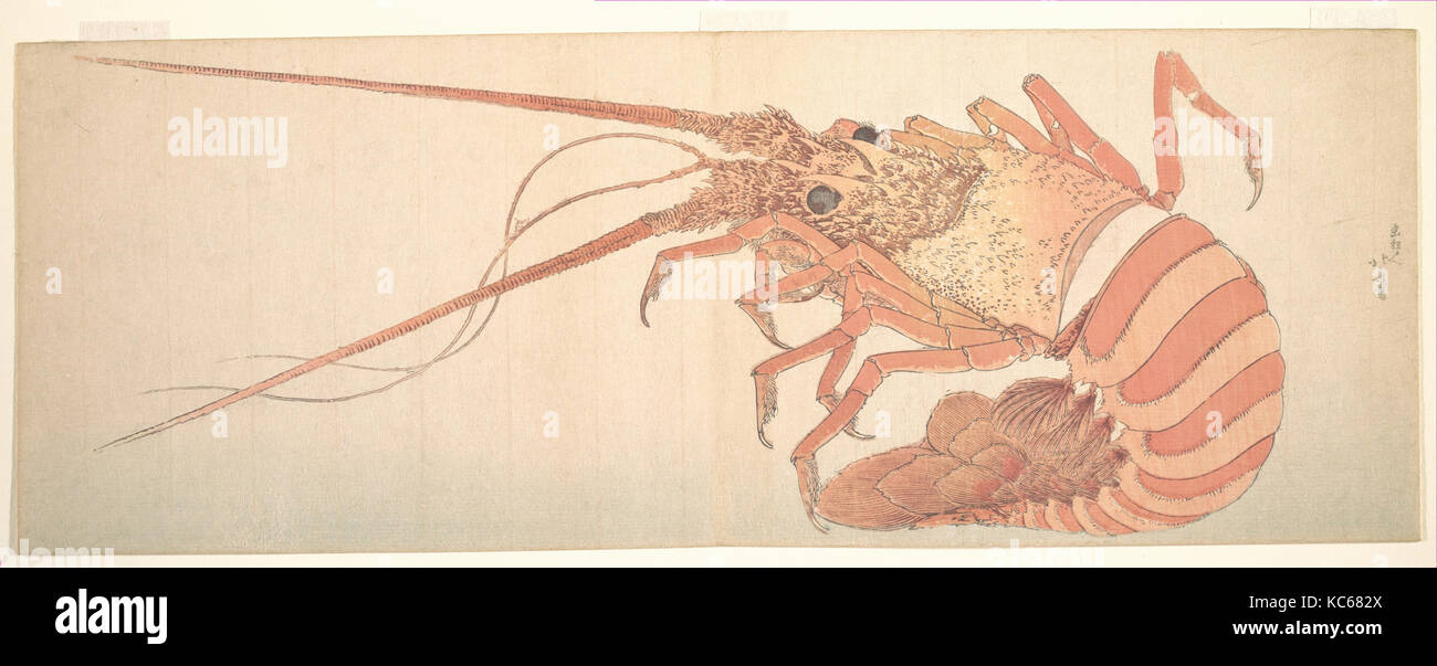 Large Lobster, Edo period (1615–1868), 1800–1815, Japan, Polychrome woodblock print (surimono); ink and color on paper, 7 5/16 Stock Photo