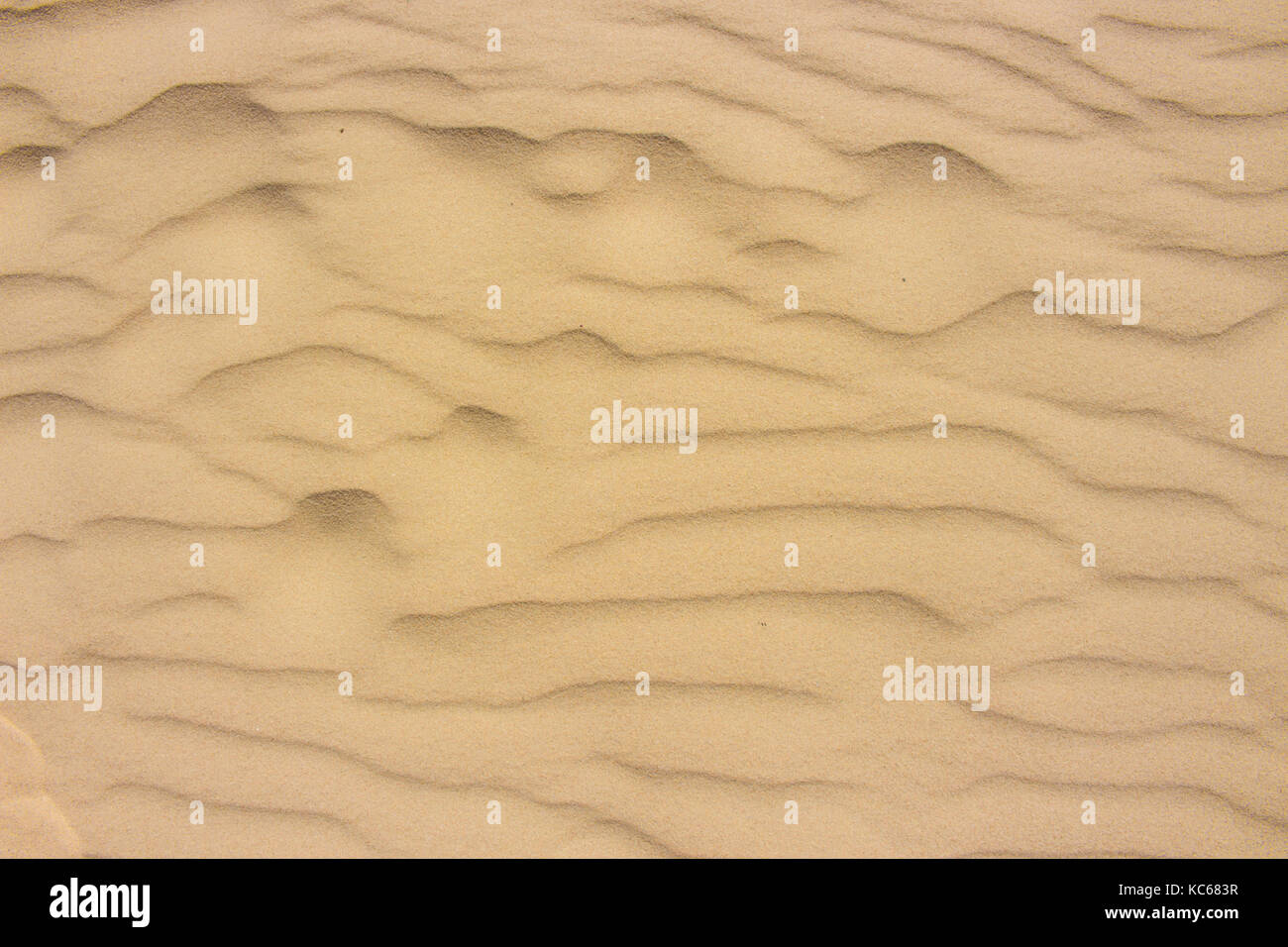 Sand. White ocean sand background. Summer texture Stock Photo - Alamy