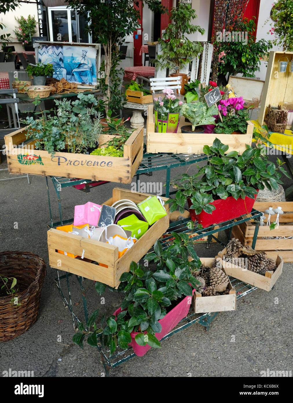 Flowers for sale, L'Isle sur la Sorgue, France Stock Photo