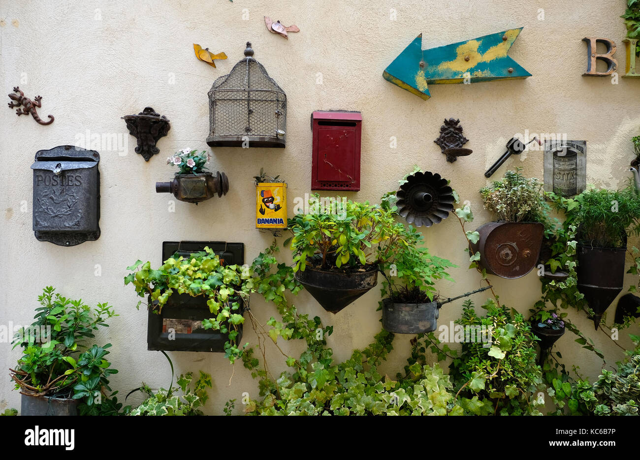 Display of plants in pots in Saint-Rémy de Provence, Provence, France Stock Photo
