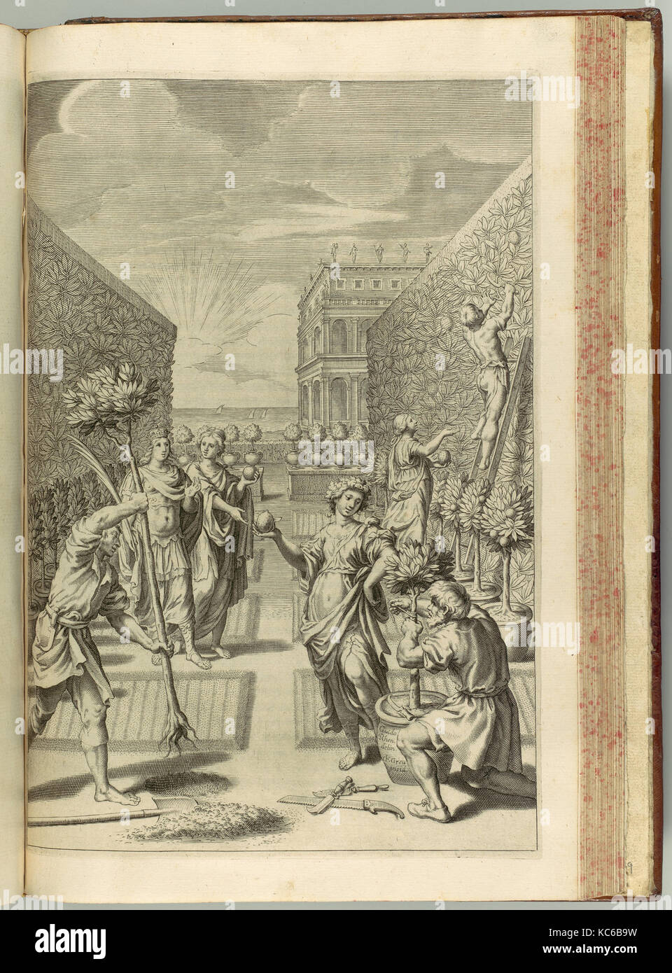 Hesperides sive de Malorum Aureorum cultura et usu. Libri Quatuor, 1646 Stock Photo
