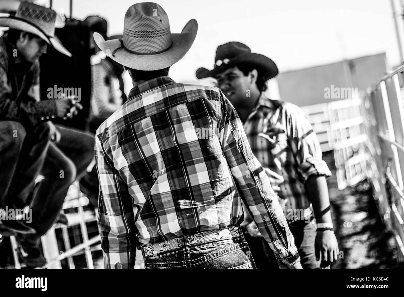 Behind the scene of the sport of Vaqueros, horse riders and Jineteo de ...